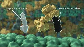 MichaelisMenten Dynamics [upl. by Navak]