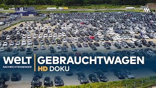 Heiligs Blechle  Deutschlands größter Gebrauchtwagenhandel  Doku [upl. by Asfah]