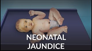 Neonatal Jaundice by L Veit  OPENPediatrics [upl. by Doro]