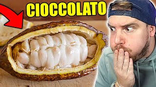 CHE SCHIFO COME è FATTO IL CIOCCOLATO [upl. by Aihtiekal36]