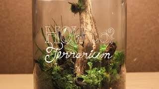 Make a Terrarium w Local Materials Native Terrarium  How To Terrarium ep3 [upl. by Adnawal]