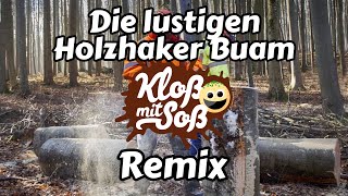 Die lustigen HolzhakerBuam Kloß mit Soß Remix [upl. by Warder783]