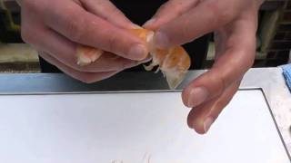 Passionate About Fish  How to prepare fresh langoustine [upl. by Nordin]