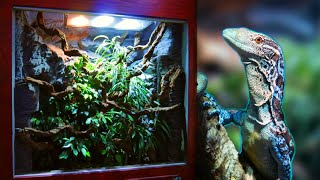 How I made a Huge Reptile Vivarium – Full Build [upl. by Wagner710]