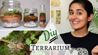 How to Make a Terrarium for Free 💚 [upl. by Anoynek]