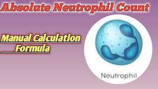 Complete Blood Count CBC Test Results Interpretation w Differential Nursing NCLEX [upl. by Assyli]