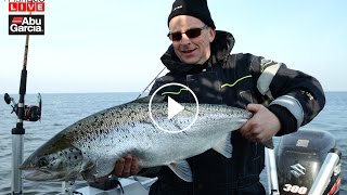 HD version Livefiske med Petter Larsson  Vi trollar lax på Vänern [upl. by Zachary960]