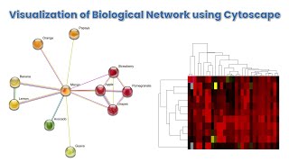 Visualization of Biological Network using Cytoscape [upl. by Noah139]