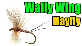 Wally Wing Mayfly Fly Tying [upl. by Etteloiv]