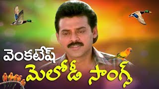 Venkatesh Melody Songs  Heart Touching And Emotional Songs  Volga Videos  2017 [upl. by Amling]