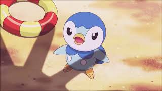 Pokemon Piplup and Oshawott funny Montage  compilation [upl. by Giordano310]