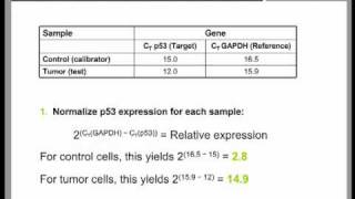 Real Time QPCR Data Analysis Tutorial part 2 [upl. by Buchbinder463]