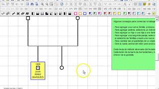 Cómo realizar un genograma [upl. by Grantland]
