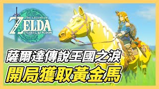 【薩爾達傳說 王國之淚】獲取黃金馬攻略！開局新手攻略｜王國之淚攻略 EP2 [upl. by Terryn]