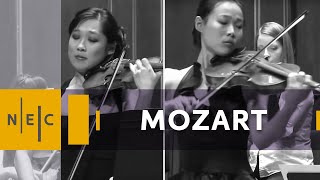 Mozart Sinfonia concertante in E flat Major K 364 [upl. by Giardap]