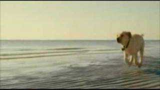 Marley and Me Trailer BEST [upl. by Halda]