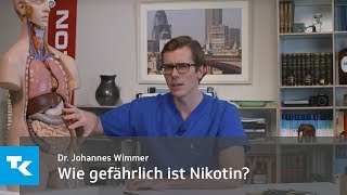 Wie gefährlich ist Rauchen  Dr Johannes Wimmer [upl. by Naitirb]