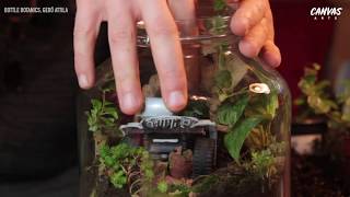 How To Make a Terrarium in a Jar  Easy DIYs [upl. by Enaxor]