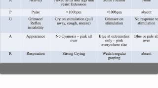 APGAR Score [upl. by Yssor]