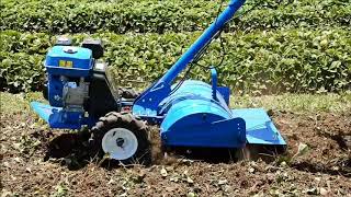 Rotovator  Motocultivador [upl. by Ehav]