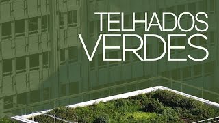 Telhados Verdes O Guia Completo [upl. by Anema]