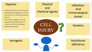 CELL INJURY ETIOPATHOGENESIS [upl. by Donn]