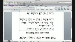 Aliyah Blessings Before and After the Torah Reading [upl. by Ravo]