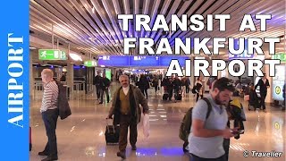 TRANSIT WALK AT FRANKFURT Airport FRA Terminal 1  Connection Flight Transfer Arriving amp Departing [upl. by Lovmilla840]