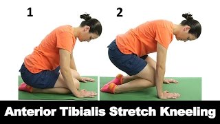 Anterior Tibialis Stretch Kneeling  Ask Doctor Jo [upl. by Leuas768]