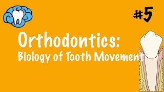 Orthodontics  Biology of Tooth Movement  INBDE ADAT [upl. by Vevina84]