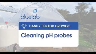 Bluelab Cleaning pH probes [upl. by Courtnay]