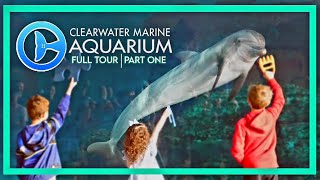 Zoo Tours Clearwater Marine Aquarium  Full Tour  PART ONE [upl. by Nowahs]