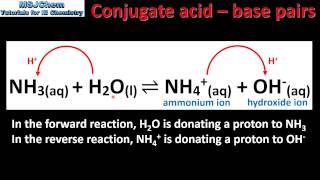 81 BronstedLowry theory of acids and bases SL [upl. by Apoor]