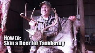 Keith Warren How To Skin A Deer For Taxidermy [upl. by Marino]