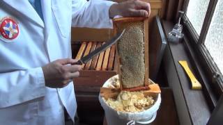 6 Harvesting and processing honey from your honeybees [upl. by Waal447]