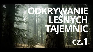 Człowiek i drzewo — odc 1 — czyta K Czubówna [upl. by Verdie]