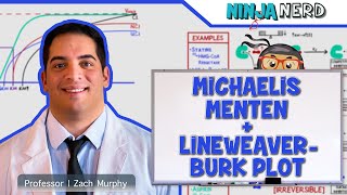 Biochemistry  Michaelis Menten amp LineweaverBurk Plot [upl. by Fries326]