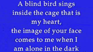 DELA by Johnny Clegg Lyrics [upl. by Adnamra298]