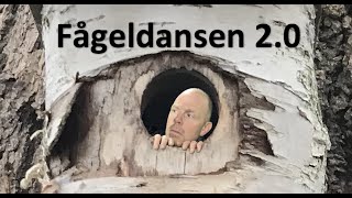 Fågeldansen 20 [upl. by Carli]