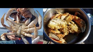 Catch and cook dungeness crab  how to catch crabs on Oregon coast [upl. by Brinkema853]