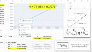 LineweaverBurke Plots in Excel [upl. by Anifur737]