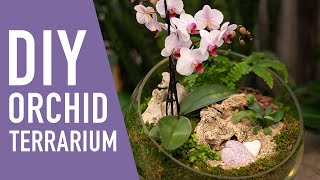 Happily Ever After Orchid Terrarium DIY  West Coast Gardens [upl. by Urata]