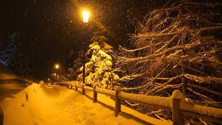 Snowfall in Times Square NYC  Walking in New York City in the Winter Snow 4k [upl. by Kristof]