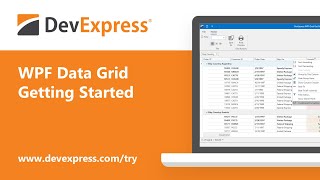 WPF Data Grid Getting Started [upl. by Armelda]