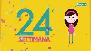 24° settimana di gravidanza [upl. by Dorene]