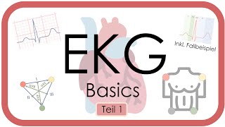 EKG Basics  Step by Step  Grundlagen Einthoven Frequenz Lagetyp PWelle QRS EKGKurs [upl. by Chuch]