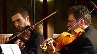 Jivan Gasparyan feat Junior Morgenland Chamber Orchestra amp Jivan Gasparyan Full HD [upl. by Alethea]