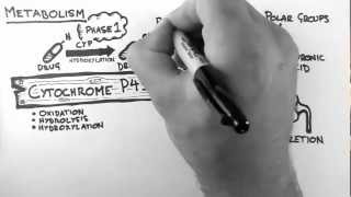 Pharmacokinetics 4  Metabolism [upl. by Ned]