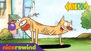 CatDog’s First amp Last Scenes  Nicktoons [upl. by Sucramej]