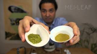 Everything you need to know about Matcha [upl. by Awhsoj765]